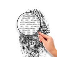 6 constats clés dans le monde des Data Sciences