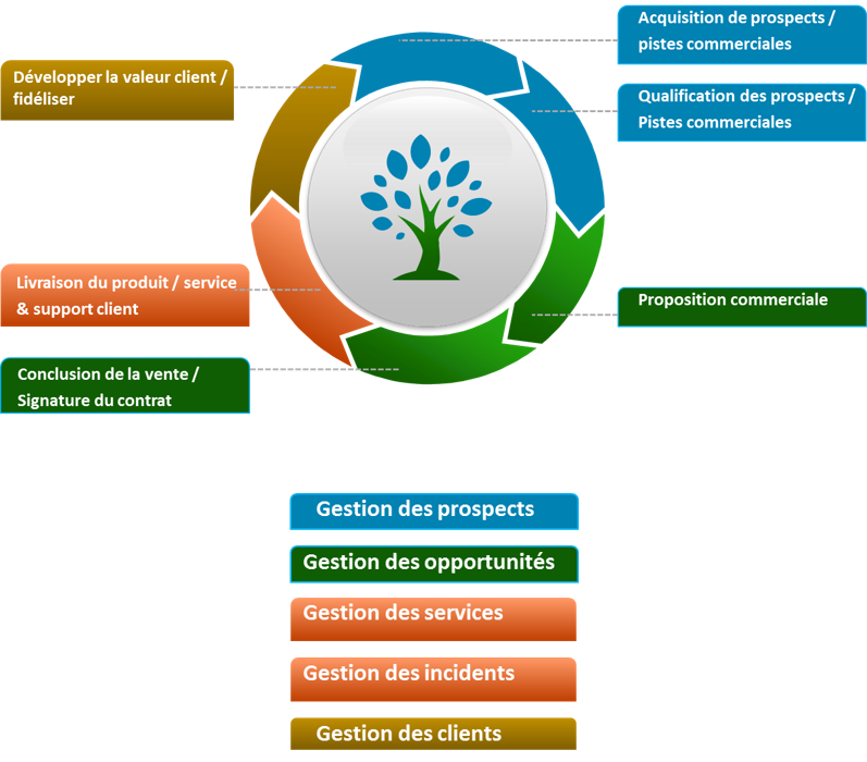 Processus de vente - Business & Decision