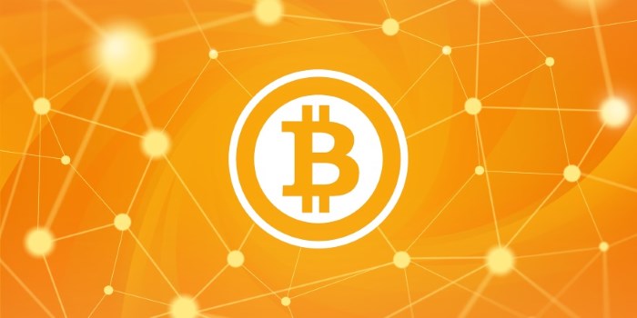 Bitcoin : invest or not invest ?