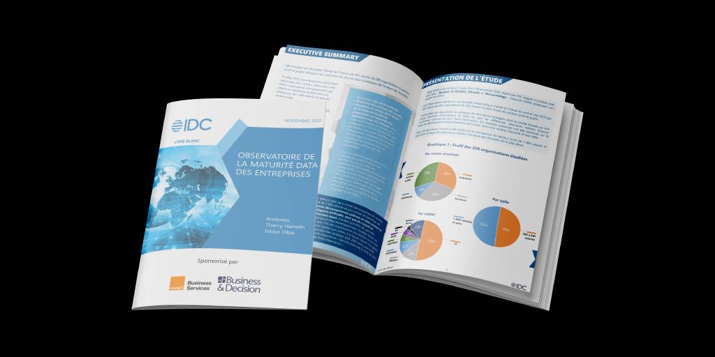 Livre blanc Observatoire de la maturité Data des entreprises en France