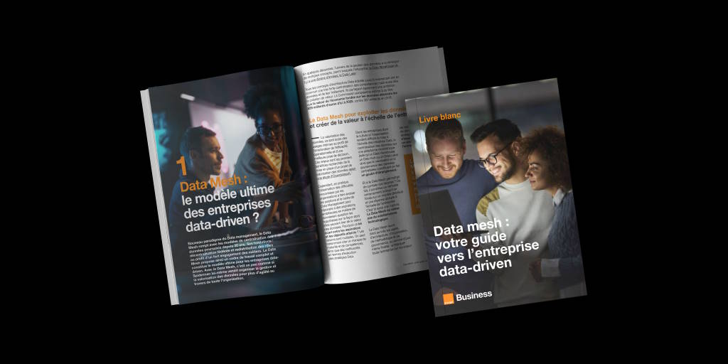 Livre blanc Data mesh : votre guide vers l’entreprise data-driven