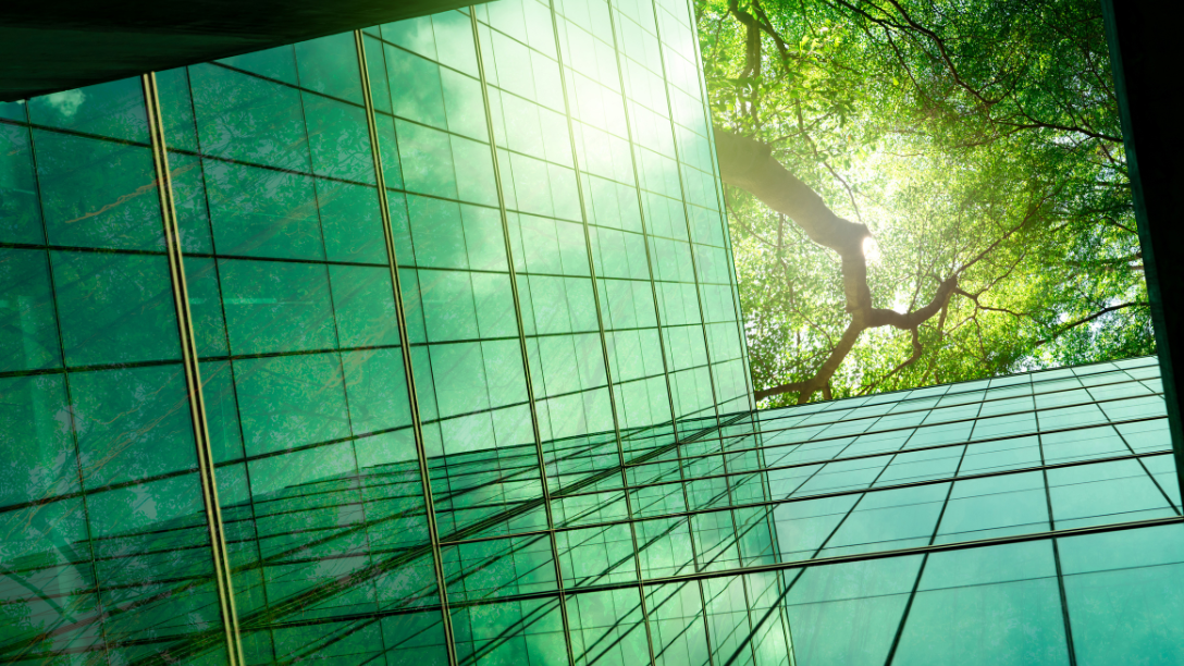 ESG & CSRD Compliance: How Companies Can Navigate New Corporate Transparency Standards